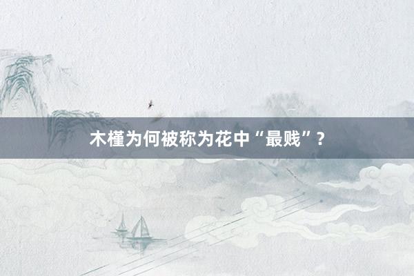 木槿为何被称为花中“最贱”？